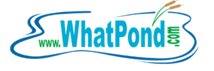 whatpond